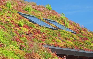 Norbreck living roof systems